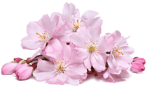 img_1.png img_1.png